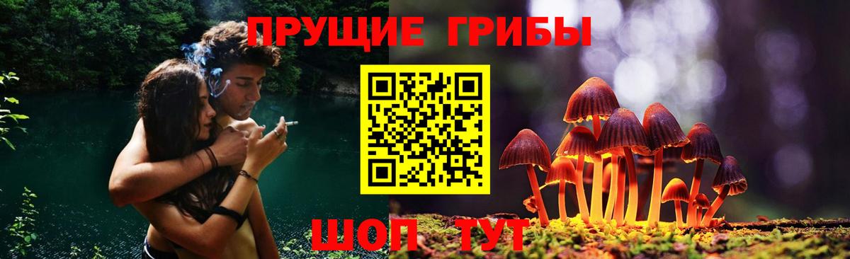 Псилоцибиновые грибы мицелий Гулькевичи